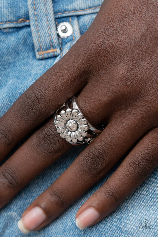 Roadside Daisies - Silver Ring